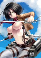 attack_on_titan_-_mikasa_20130914_106.jpg